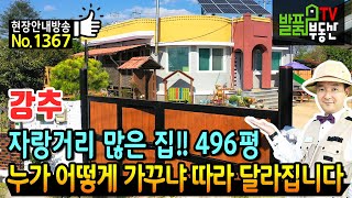 (급매) 개인적 사정의 496평 자랑거리 많은 집 이렇게도 관리가 가능합니다 전북 김제 전원주택 매매 급매 손수 가꾼 정원과 텃밭 카페 등 가성비 최고 김제부동산 - 발품부동산TV