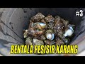 JEJAK PETUALANG | BENTALA PESISIR KARANG (26/09/21) Part 3