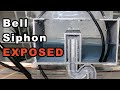 Bell Siphon Exposed