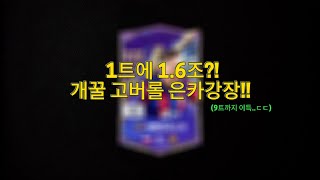 [FCON] 9트 이득 나오는 고버롤 은카강장!!