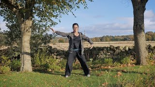 WUDANG SINGLE SNAKE MOVE QIGONG