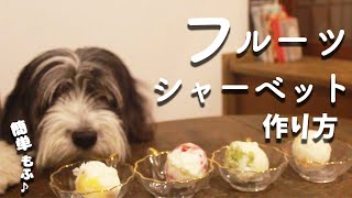 犬おやつ手作りレシピ｜ヨーグルトのフルーツシャーベットの作り方【もふ飯】