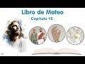 MATEO Capítulo 15 | La Biblia | Reavivados por tu palabra #Hedjusan