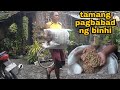 Paano ang tamang pagbabad ng binhi sa tubig upang maagapan ang ibang sakit sa palay ? Alamin!