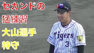 動きが固い大山選手、二塁手の特守！阪神タイガース秋季安芸キャンプ！北條・植田選手も一緒にw