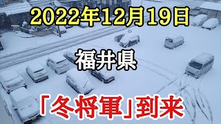 2022年12月19日冬将軍到来#雪 #福井県#寒波 、福井県にも12月18日夜から降りだして来ました。