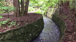 【札幌風景】円山原始林