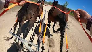 2024 Killarney Day 2 Gracee Chariot GoPro