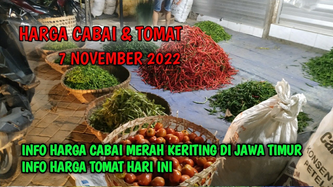 Harga Cabai Hari Ini 7 November 2022 | Info Harga Cabai Rawit Merah ...