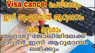 UAE മറ്റൊരു ജോലിയിലേക്ക് മാറാൻ ഇനി ആറുമാസം ലഭിക്കും | UAE VISA | Dubai visa | job vacancies | #dubai