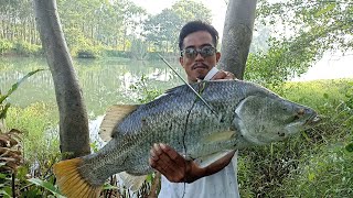 mas kembar lagi yang pion kakap. paser ikan | airguns fish hunting.