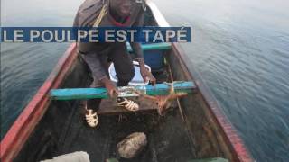 capture de poulpe et traitement a bord - octopus catch and storage condition-PROCOVAL