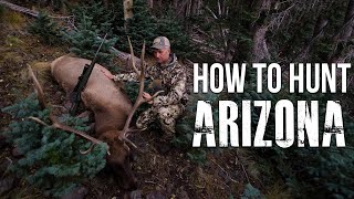 Our Application Strategy For Arizona