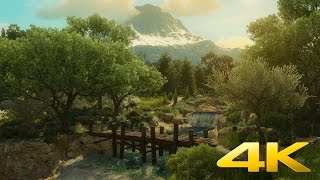 Waterfall with a View (Witcher 3) - DreamScene [Live Wallpaper] - Relax, Ambient - 4K