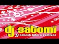 DJ Satomi – Greatest Hits & Remixes