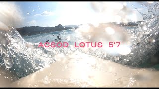 ACSOD LOTUS５’７　FUKUI/SURF=V-LOG