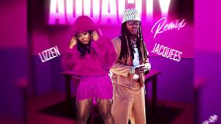 Lizzen x Jacquees - Audacity (Remix) [Official Visualizer]