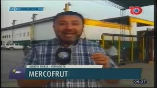 Días y horarios de atención y precios en el Mercofrut