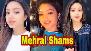 Mehral Shams Tik Tok Part 3 | Indian Beautiful Girl Romantic Musically 2019 | Haven Entertainment