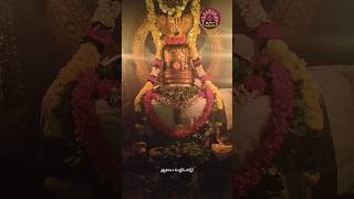 வைத்தீஸ்வரன் கோவில் பிரதோஷ வழிபாடு || vaitheeswaran temple #pradosham #pradusham #vaitheeswaran