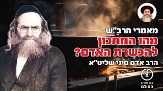 מאמרי הרב\