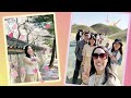 ☆韓國特色慶典～～慶州櫻花慶典 慶州賞櫻之旅part1 ☆