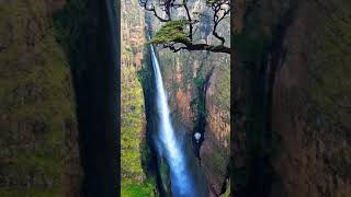 உலகிலேயே மிக உயரமான நீர்வீழ்ச்சி ஏஞ்சல் (Angel Falls) வெனிசுலா ஆகும்|Tallest waterfall in Venezuela.