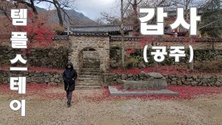 9. 템플스테이(갑사, 충남 공주)/휴식형/계룡산/1,600여년된 고찰/무문관/아도화상/천진보탑/월인석보목판/고깃나루 (공주시 맛집)/몽깨[행복시선(視禪)