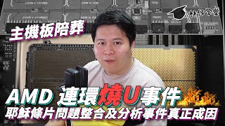 【林仔學堂】AMD 連環燒U事件、主機板陪葬！耶穌條片問題整合及分析 事件真正成因係咩？ CC中文字幕