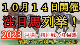 【注目馬列挙・平場予想】2023年10月14日JRA平場特別戦！太秦ステークス、飛翼特別の注目馬含む12頭！