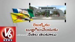 Competition Between YCP and TDP In Nellore