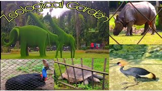 বিদেশী চিড়িয়াখানায় প্রথম অভিজ্ঞতা #Zoological Garden in Kolkata #Alipore Zoo Kolkata