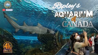 4K | Ripley's Aquarium of Canada | Discover the Ocean Wonders | Toronto, Ontario 2023