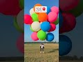 how many balloons does it take to fly