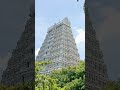 திருஅண்ணாமலையார் கோயில் கிழக்கு ராஜகோபுரம் trending temple ytshorts