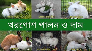 খরগোশ পালন | Rabbit Rearing In Bangla | Rabbit Price In Bangladesh and India | Khorgos Palon