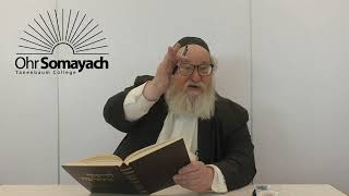 Rambam’s Intro Perek Chelek P11 People Who Have No Chelek in Olam Haba (HaRav Yitzchak Breitowitz)