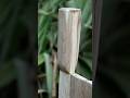 How to make a knife from wood,Easy To Make -DIY #shorts