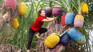 SHOCKING! Harvesting colorful sea pineapples for sale at the market - how to process sea pineapples?