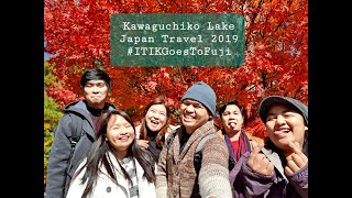 Kawaguchiko Lake | Fujisan View  | Travel Video | November 16,2019