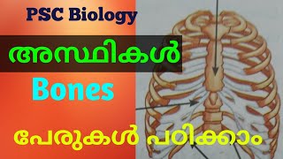 അസ്ഥികൾ ,(Bones) Biology PSC syllabus based class ടിബിയ, ഫിബുല, മാലിയസ്, ഇൻകസ്,സ്റ്റേപ്പിസ്