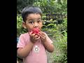 Dragon fruit #shorts #viralvideo