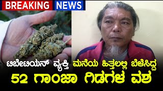 GANJA ಬೆಳೆಸಿದ್ದ ಆರೋಪಿ ನಾಮಗೇಲ್ ಚೋಪೇಲ್ ಬಂಧನ