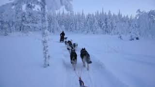 Riisitunturi National Park in Posio Finland