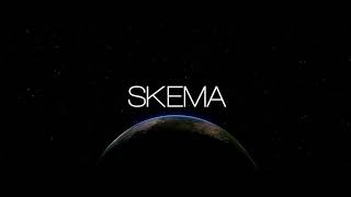 SKEMA / OUR COUNTRY / OUR COMPANY 2020