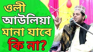 Oli Aolia mana jabe ki na? ওলী আউলিয়া মানা যাবে কি না? New waz By Alauddin jihadi