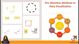 Pre Attentive Attribute in Data Visualization