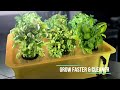 herb garden starter kit indoor hydroponics growing system with nutrients and herbs seeds