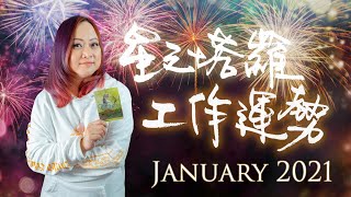 21年1月 / 工作運勢 / 星之塔羅星座占卜