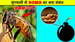 मूंगफली से Bomb ?😳 \ Amazing Facts \ #shorts #facts